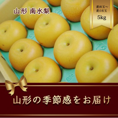 南水梨　約8～16玉　約5kg【令和7年発送先行予約】