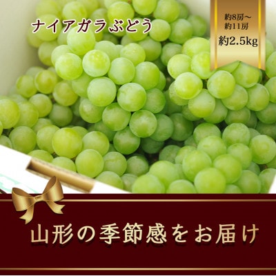 ナイアガラぶどう 8～11房　約2.5kg【令和7年発送先行予約】