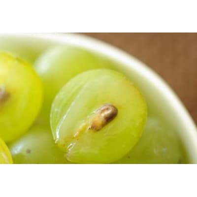 ナイアガラぶどう 8～11房　約2.5kg【令和7年発送先行予約】