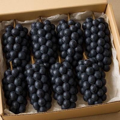 スチューベンぶどう 8～約11房　2.5kg【令和8年発送先行予約】