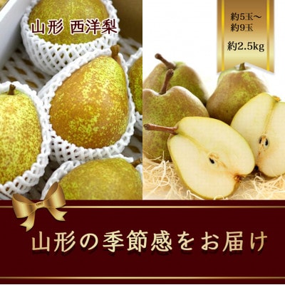 西洋梨　約5玉～約9玉　約2.5kg　品種指定はできません【令和7年発送先行予約】