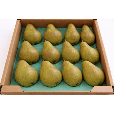 西洋梨　約10玉～約16玉　5kg 　品種指定はできません【令和8年発送】