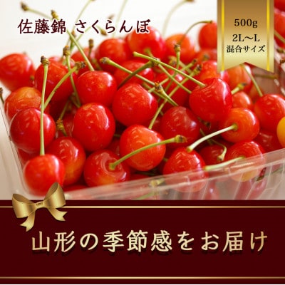 佐藤錦 さくらんぼ 2L～L混合サイズ 500g バラ詰め【2025年発送先行予約】