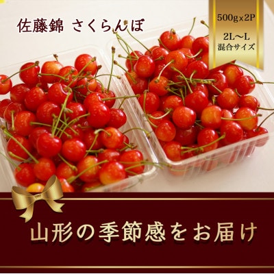 佐藤錦 さくらんぼ 2L～L混合サイズ 500g×2パック バラ詰め【2025年発送先行予約】