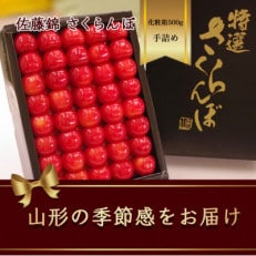 佐藤錦 さくらんぼ 手詰め2段詰め 化粧箱 500g×1箱[2024年6月発送]