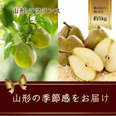 ラフランス　西洋梨  約5kg 約10玉～約16玉【令和7年先行予約】