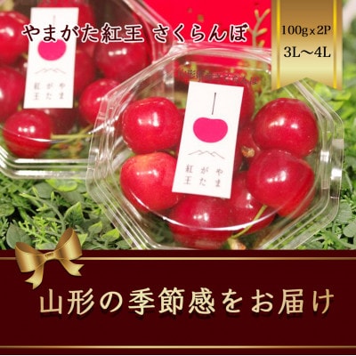 やまがた紅王 さくらんぼ 3L～4L 100g×2パック入 【2025年発送先行予約】