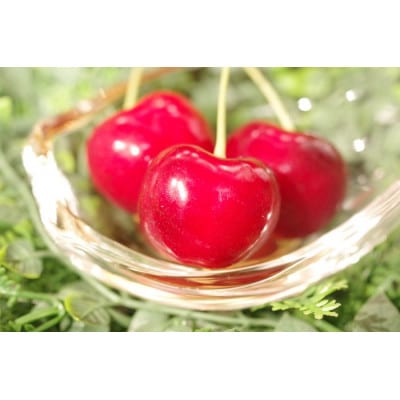 やまがた紅王 さくらんぼ 3L～4L 100g×2パック入 【2025年発送先行予約】