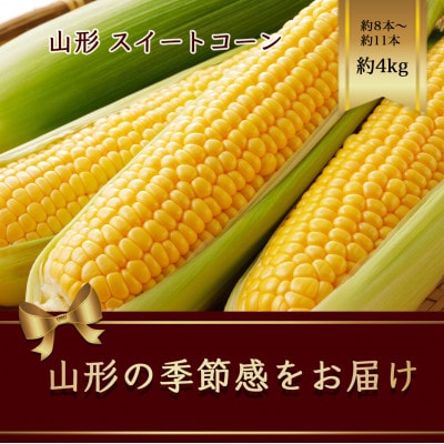 山形県産  スイートコーン 約8本～約11本 約4kg 【令和7年発送先行予約】