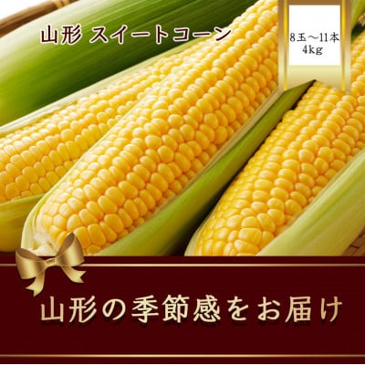 山形県産  スイートコーン 8本～11本　4kg 【令和8年発送先行予約】