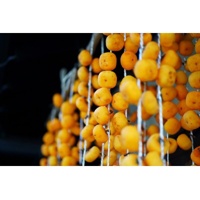 紅つるし 柿 32個 山形県産  700g以上 ドライフルーツ【2025年発送先行予約】