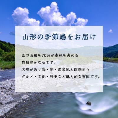 紅つるし 柿 32個 山形県産  700g以上 ドライフルーツ【2025年発送先行予約】