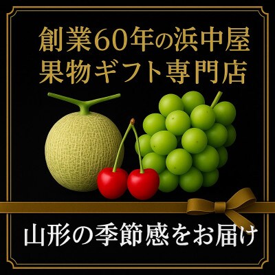 紅つるし 柿 32個 山形県産  700g以上 ドライフルーツ【2025年発送先行予約】