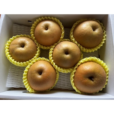 幸水梨　約6～約8玉 約2.5kg【令和8年発送先行予約】