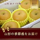 あきづき梨　秋月　5～8玉　約2.5kg【令和7年発送】