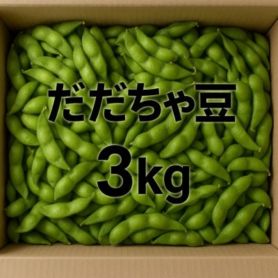 朝採り直送品 だだちゃ豆 500g×6袋 　3kg分 山形の枝豆【令和8年発送先行予約】