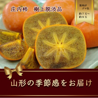 樹上脱渋 庄内柿 果肉が黒ゴマ色の種無し柿 約7～9玉(約2kg)【2025年発先行予約】
