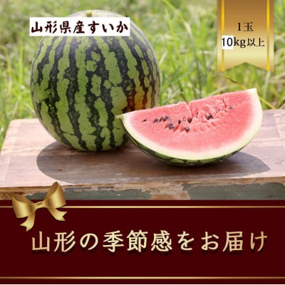 山形県産　すいか　1玉　10kg以上【令和7年発送先行予約】