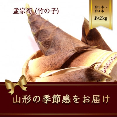 山形県産　孟宗筍　約2kg(2本～4本) 竹の子【2026年産先行受付】
