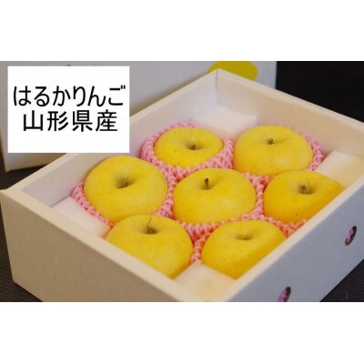 山形県産 はるかりんご　約2.5kg　7～9玉 高糖度系のりんご【令和7年先行予約】