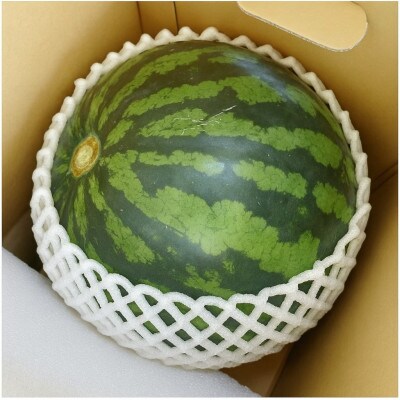 金色羅皇(こんじきらおう)スイカ  高糖度系の品種  1玉 5kg以上【令和8年発送】