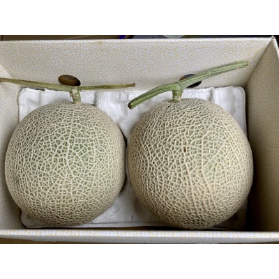 山形県産メロン 2玉入 赤肉 メロン 品種おまかせ【令和8年発送】