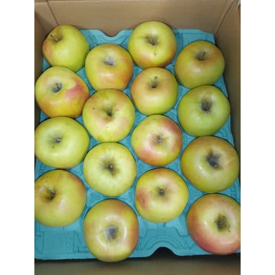 【令和7年発送先行予約】山形りんご 5kg(12玉～18玉)品種おまかせ(赤色と黄色もおまかせ)