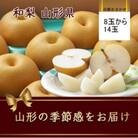 【令和7年発送先行予約】山形県産 和梨(品種おまかせ)　5kg(8玉～14玉)