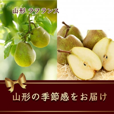 【令和7年発送先行予約】山形県産ラ・フランス 小さめサイズ「24玉」約4.5kg