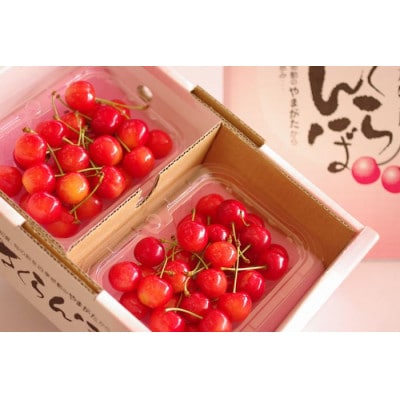紅秀峰 さくらんぼ 2L 200g×2パック入 秀品【令和8年発送先行予約】
