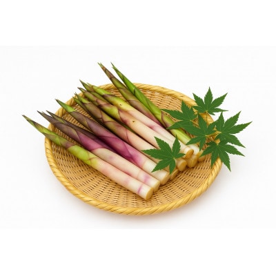 根曲がり竹 1kg【令和8年先行予約】