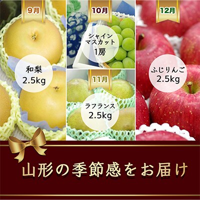 【発送月固定定期便】果物の定期便 佐藤錦・メロン・西瓜・和梨・葡萄・洋梨・林檎【令和6年発送】全7回