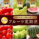 【発送月固定定期便】佐藤錦さくらんぼ500g・山形メロン2玉・山形すいか1玉【令和8年発送】全3回