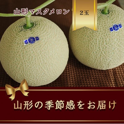 【発送月固定定期便】山形メロンの定期便　7月 緑肉メロン2玉　8月 マスクメロン2玉全2回