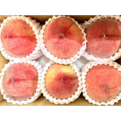【発送月固定定期便】6月 佐藤錦さくらんぼ500g　8月 山形桃6玉～9玉全2回