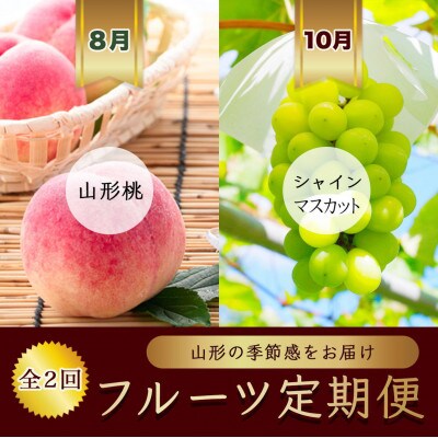 【発送月固定定期便】8月 山形桃 6玉～9玉　10月 シャインマスカットぶどう1房全2回