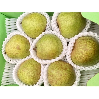 【発送月固定定期便】6月さくらんぼ 秀品500g　8月西瓜　11月ラ・フランス【令和8年発送】全3回