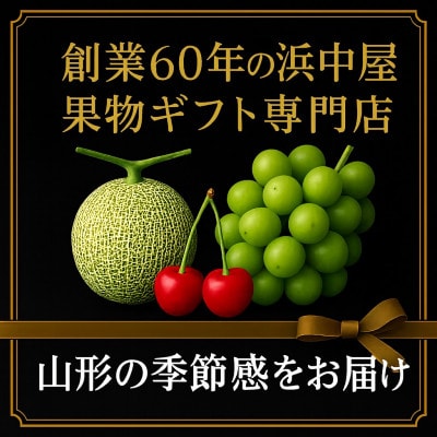 【発送月固定定期便】6月さくらんぼ品種おまかせ約500gL秀品 7月メロン2玉【令和8年発送】全2回