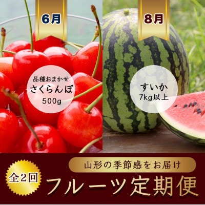 【発送月固定定期便】6月さくらんぼ品種おまかせ500g 秀品L　8月すいか1玉【令和8年発送】全2回