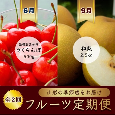 【発送月固定定期便】6月さくらんぼ品種おまかせ500g 秀品L　9月和梨【令和8年発送】全2回