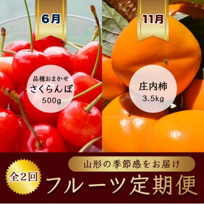【発送月固定定期便】6月さくらんぼ品種おまかせ500g 秀品L　11月庄内柿【令和8年発送】全2回