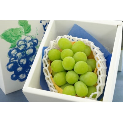 【発送月固定定期便】6月さくらんぼ品種おまかせ 秀品　10月シャインマスカット  令和8年発送全2回