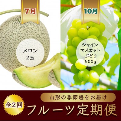【発送月固定定期便】7月メロン2玉 10月シャインマスカットぶどう1房【令和8年発送】全2回