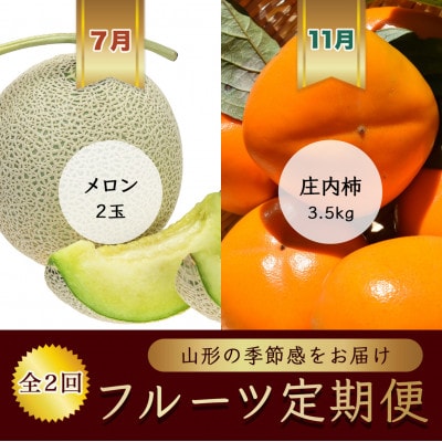 【発送月固定定期便】7月メロン2玉　11月庄内柿約3.5kg【令和8年発送】全2回