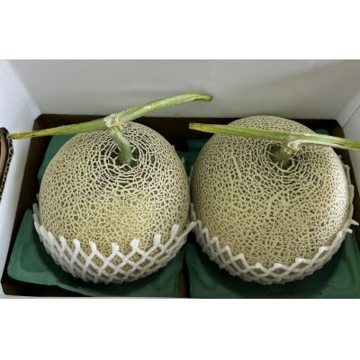 【発送月固定定期便】7月メロン2玉　11月庄内柿約3.5kg【令和8年発送】全2回