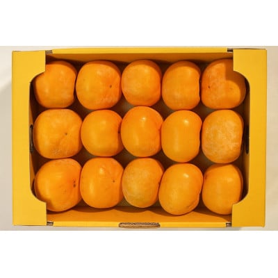 【発送月固定定期便】7月メロン2玉　11月庄内柿約3.5kg【令和8年発送】全2回