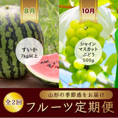 【発送月固定定期便】8月すいか 1玉7kg以上 10月シャインマスカットぶどう【令和8年発送】全2回