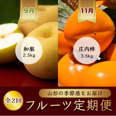 【発送月固定定期便】9月和梨 6玉〜8玉 11月庄内柿 14玉〜18玉【令和8年発送】全2回