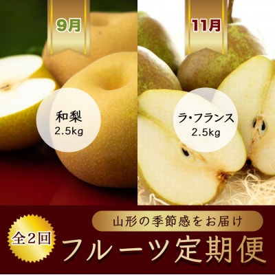 【発送月固定定期便】9月和梨 6玉~8玉 11月ラ・フランス 7玉~9玉【令和8年発送】全2回