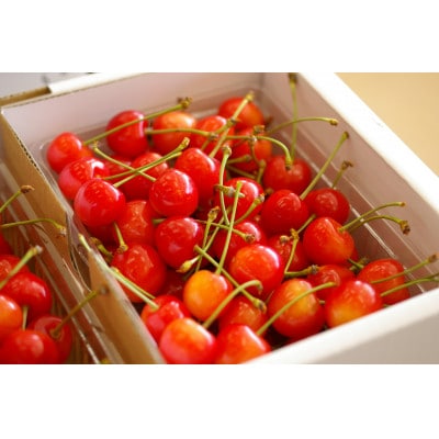 【発送月固定定期便】6月佐藤錦さくらんぼ　8月桃　10月シャインマスカット【令和8年発送】全3回